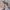 TUFFHOZE – Snabbkoppling – Läckfria kopplingar TUFFHOZE – Snabbkoppling – Läckfria kopplingar